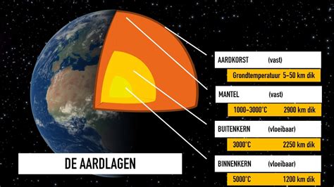  De Zonnebloemzaadpod van Anton Van Wyk: Een Eerbetoon aan de Aarde en Haar Vruchten